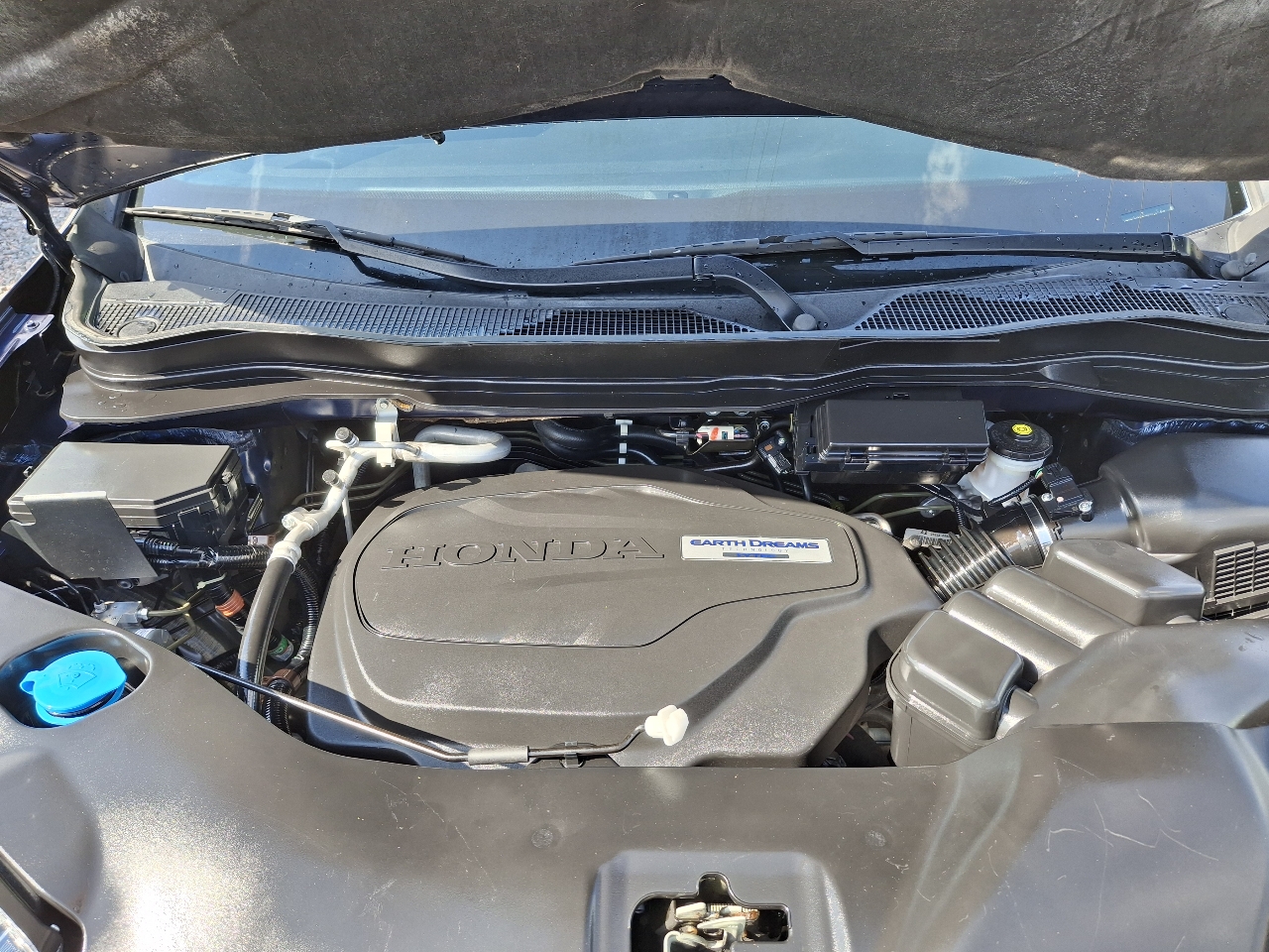 Honda Passport Sport 2019 Honda Passport Sport 2019