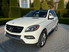 2014 Mercedes-Benz M-Class 