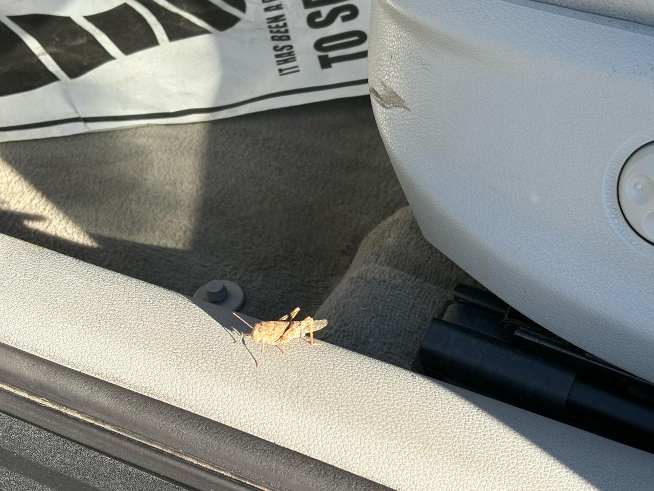 Audi A3 4dr Sdn FWD 1.8T Premium 2016