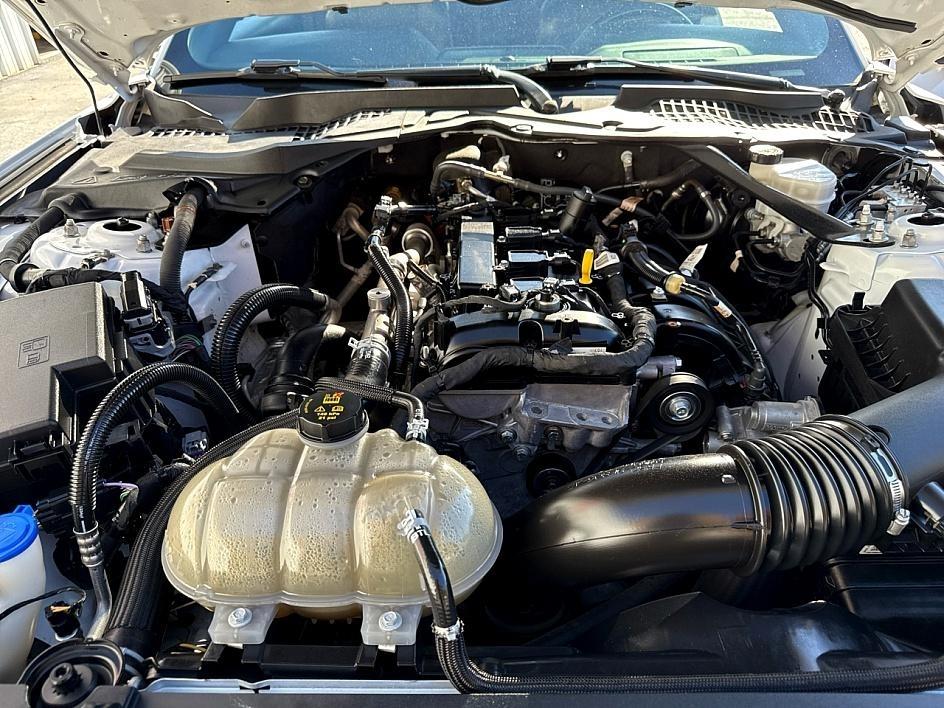 Ford Mustang EcoBoost Convertible 2022