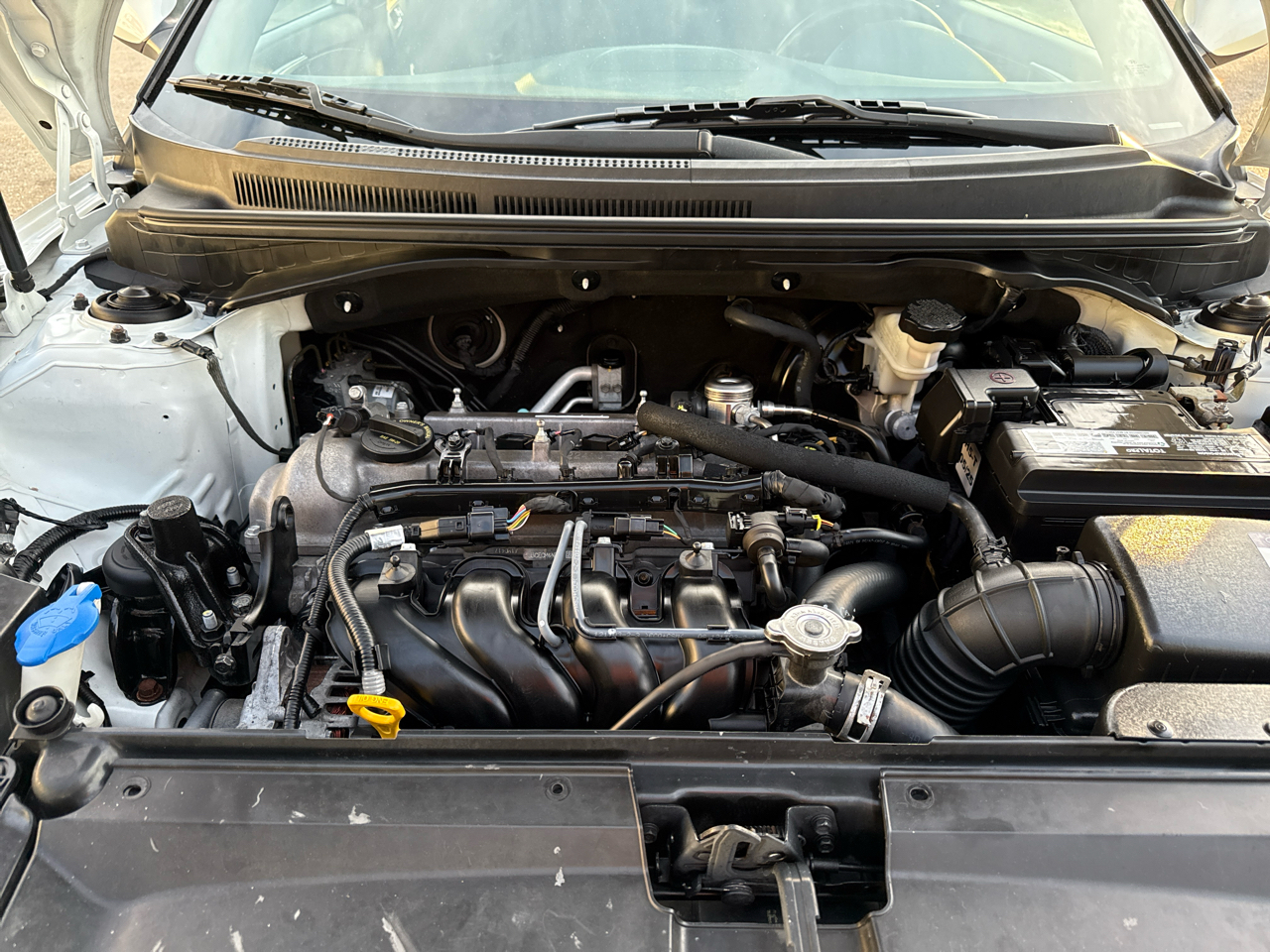 Hyundai Veloster 3dr Cpe Auto 2016