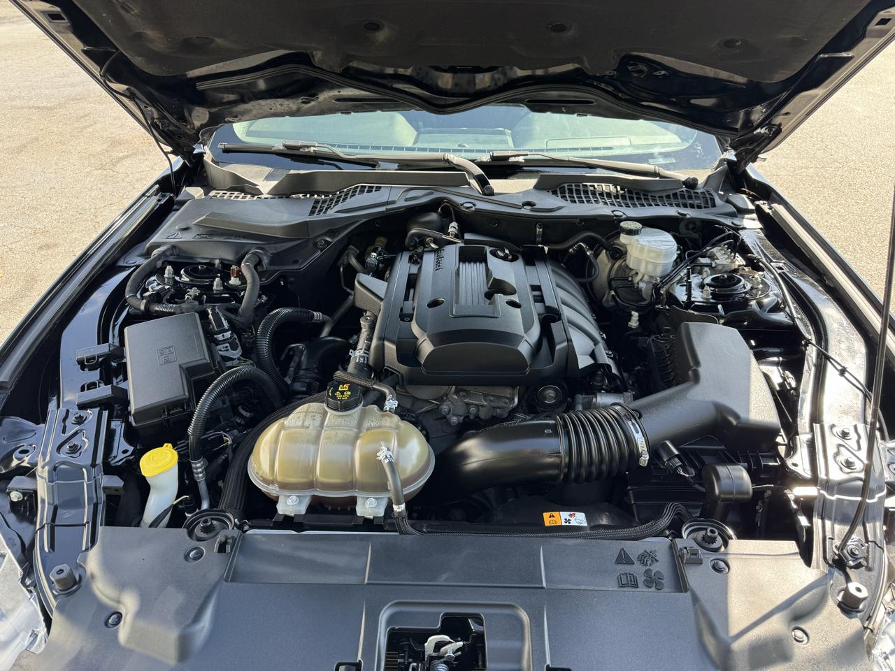 Ford Mustang EcoBoost Fastback 2018