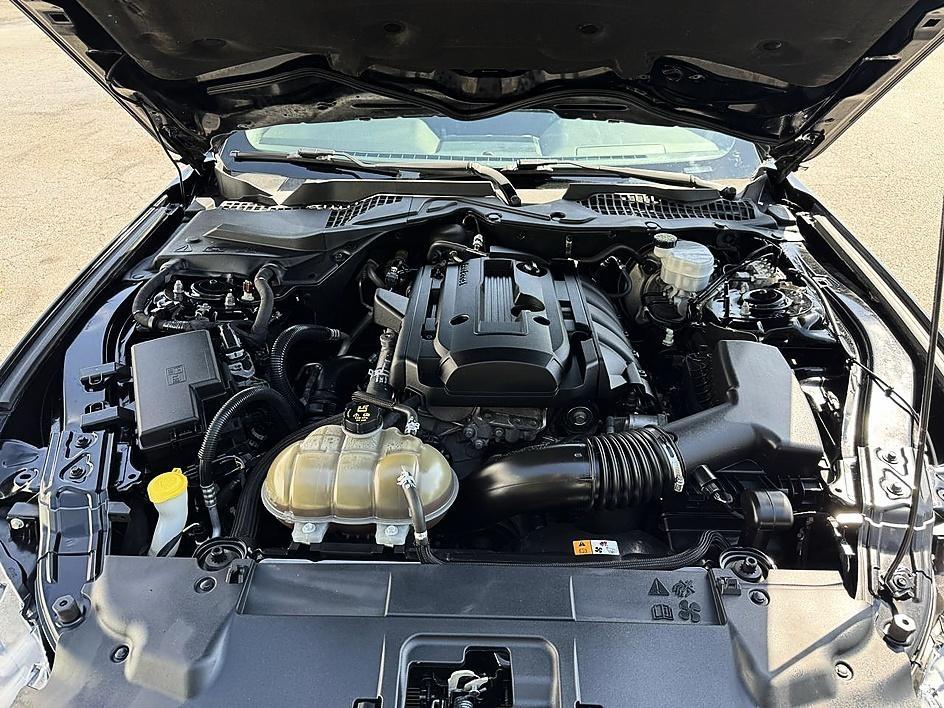 Ford Mustang EcoBoost Fastback 2018