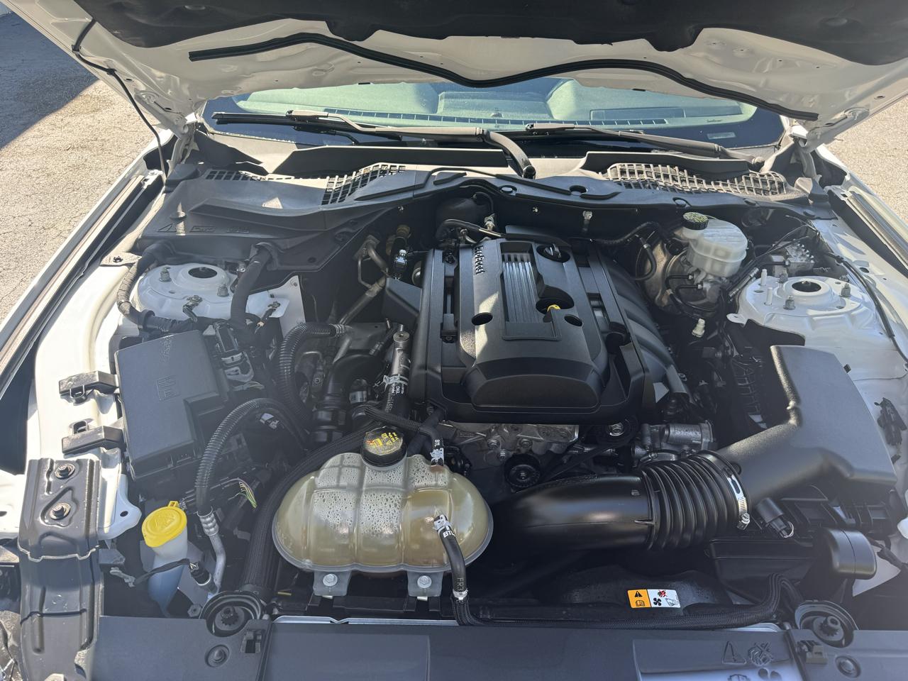 Ford Mustang EcoBoost Fastback 2018