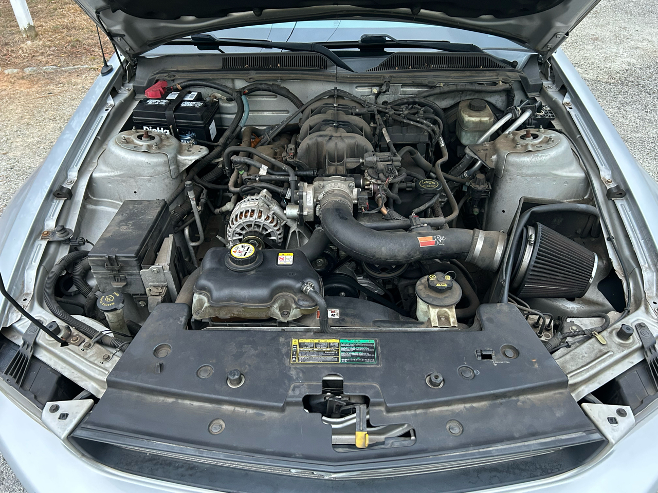 Ford Mustang V6 Deluxe Coupe 2005