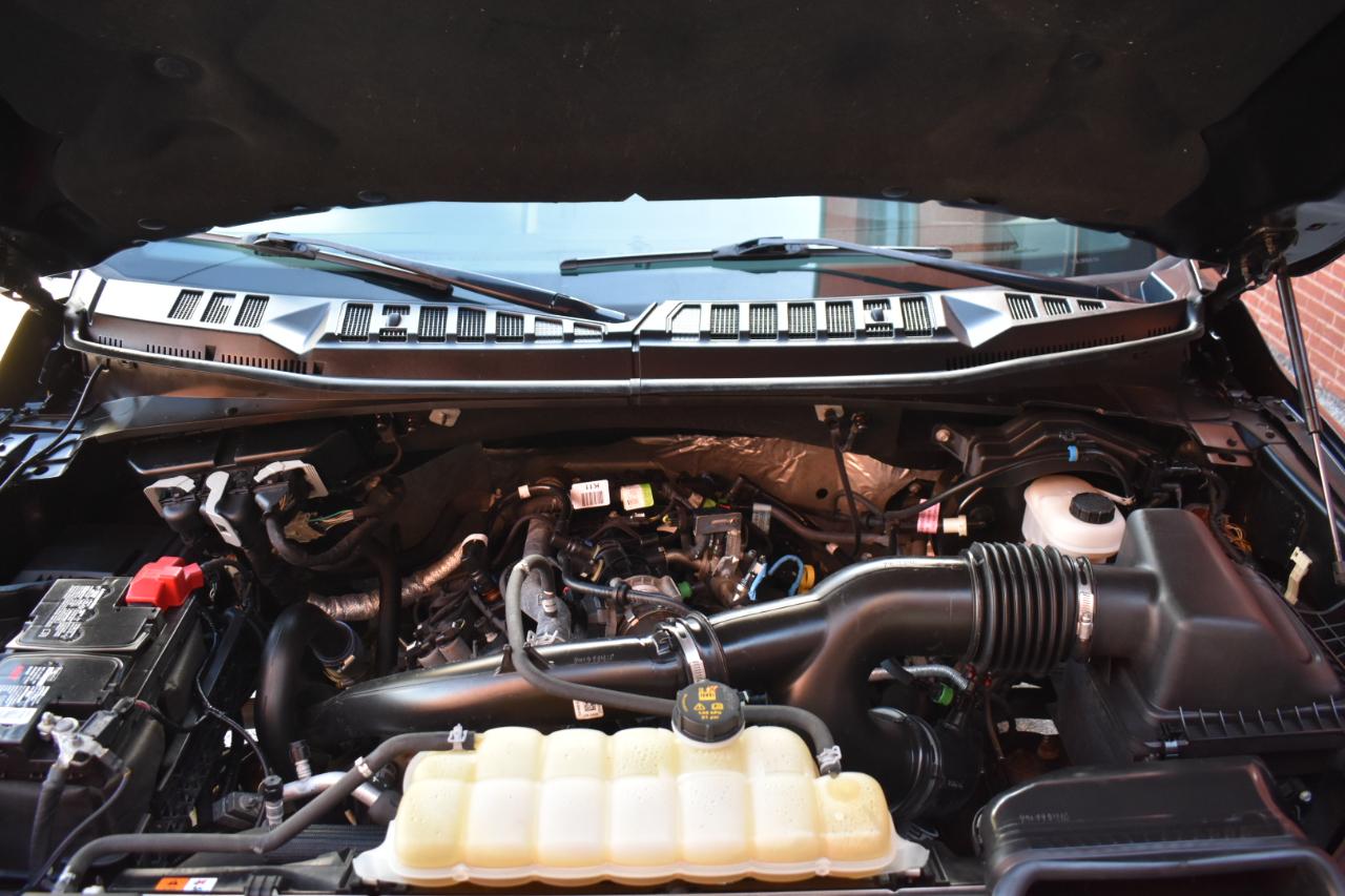 Ford F-150 XLT 4WD SuperCrew 5.5' Box 2019