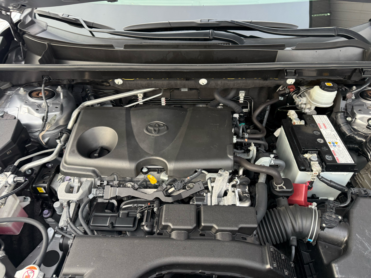 Toyota RAV4 XLE AWD (Natl) 2019