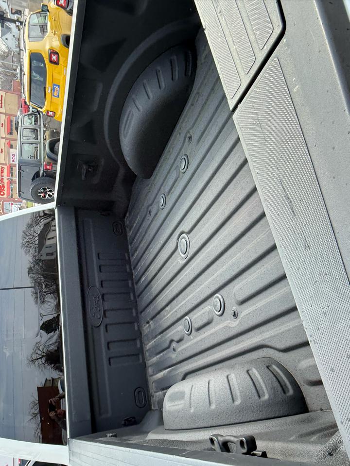 Ford Super Duty F-250 SRW Platinum 4WD Crew Cab 6.75' Box 2020