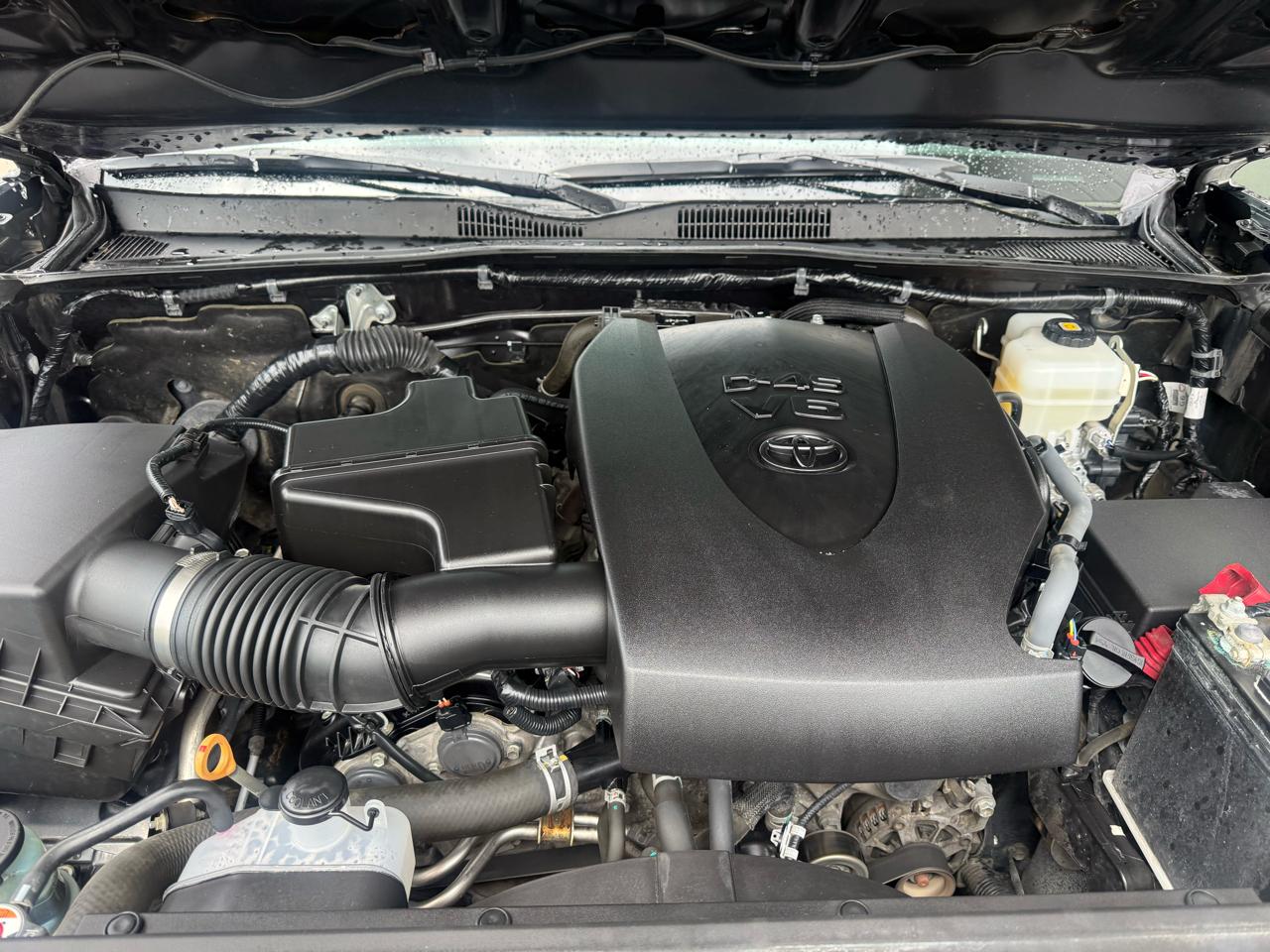 Toyota Tacoma 4WD SR Double Cab 5' Bed V6 AT (Natl) 2019