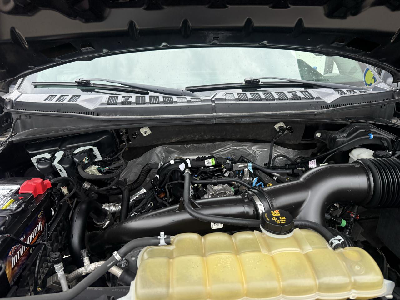 Ford F-150 STX 4WD SuperCrew 5.5' Box 2020