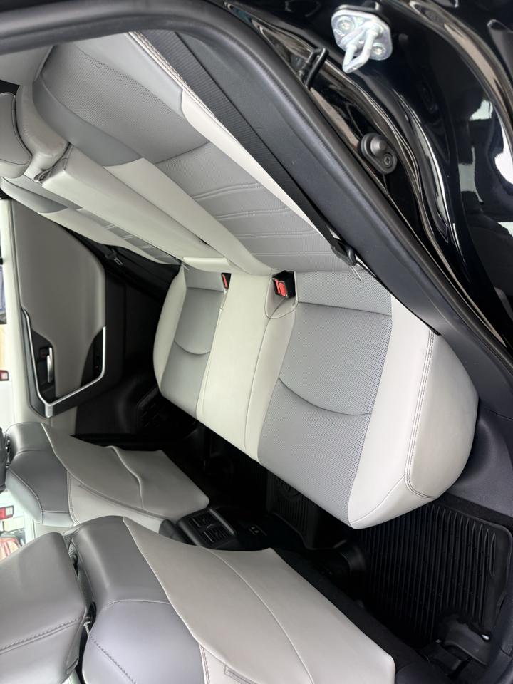 Toyota RAV4 Limited AWD (Natl) 2020