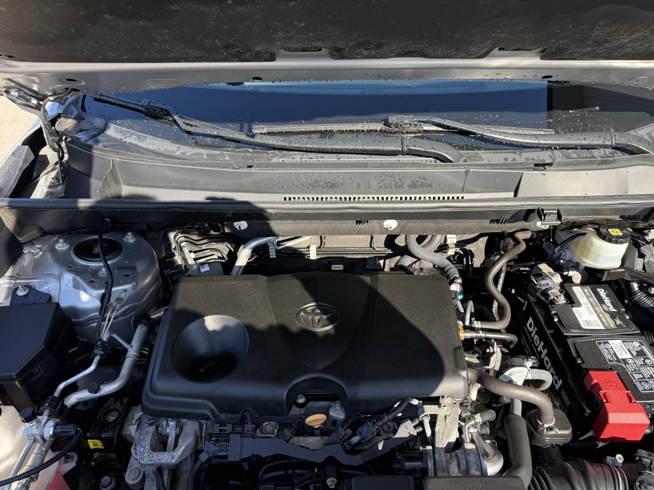 Toyota RAV4 XLE Premium AWD (Natl) 2020