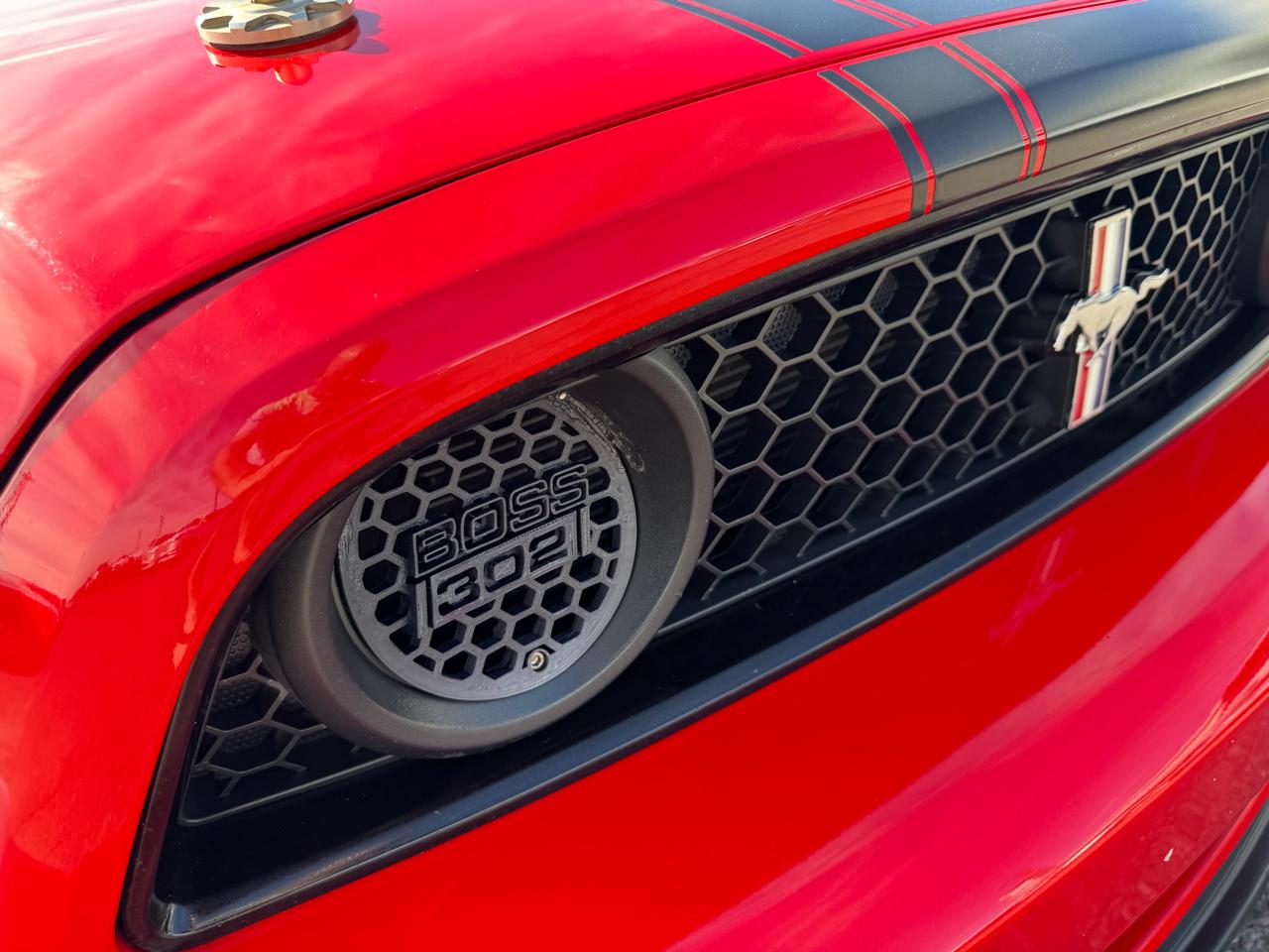 Ford Mustang 2dr Cpe Boss 302 2013