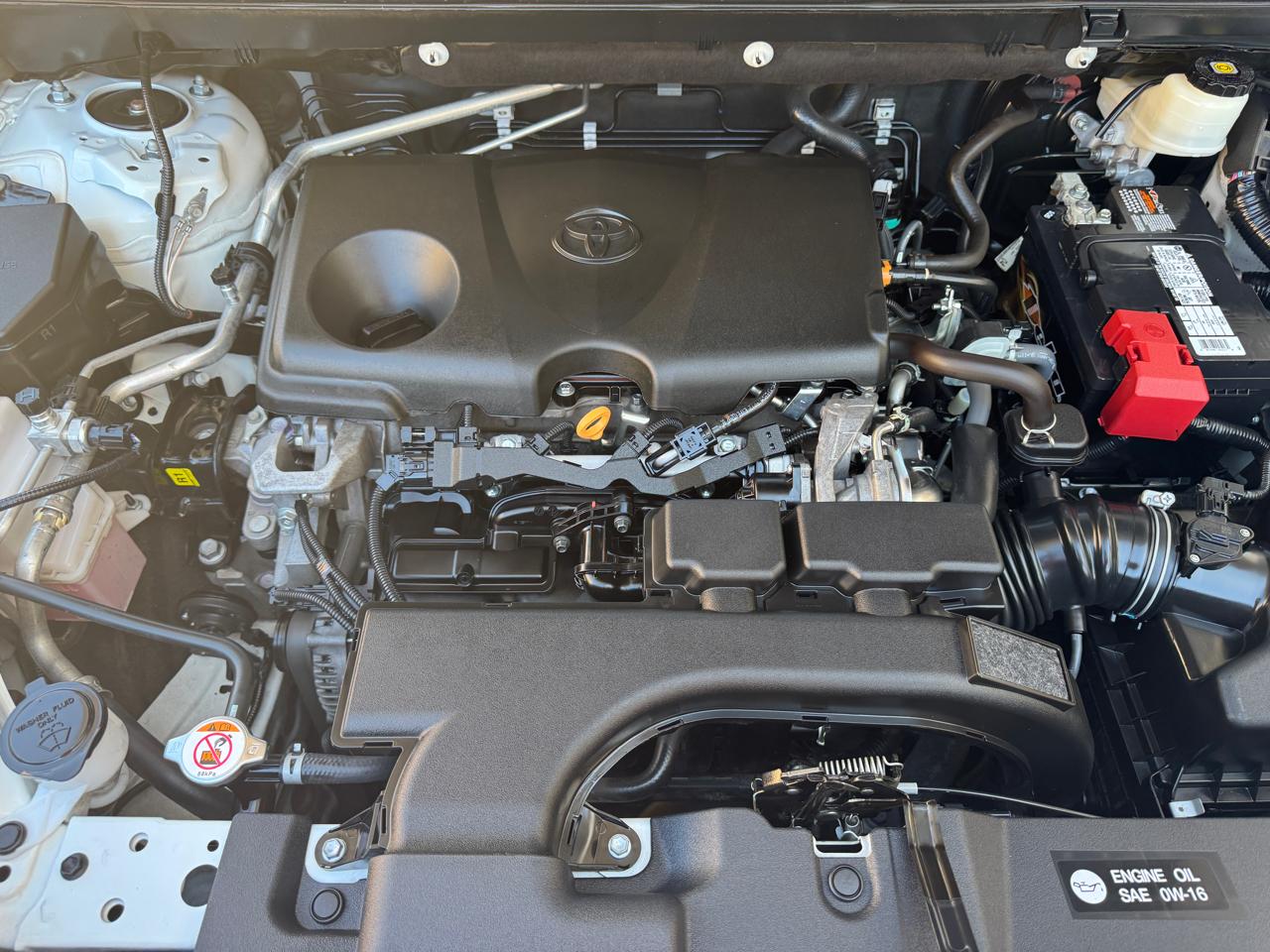 Toyota RAV4 TRD Off Road AWD (Natl) 2021