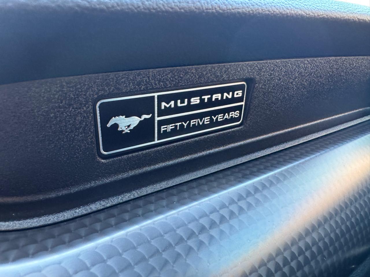 Ford Mustang GT Fastback 2020