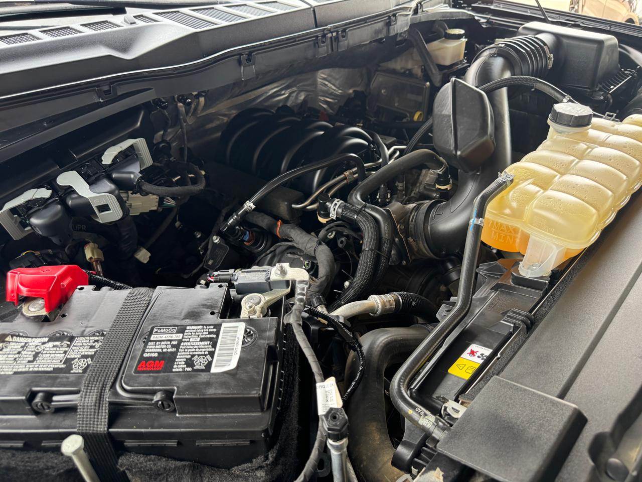 Ford F-150 XLT 4WD SuperCrew 5.5' Box 2023