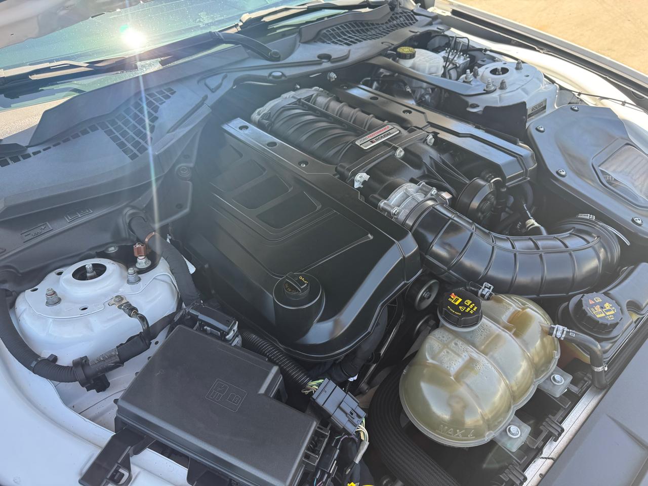 Ford Mustang GT Fastback 2019