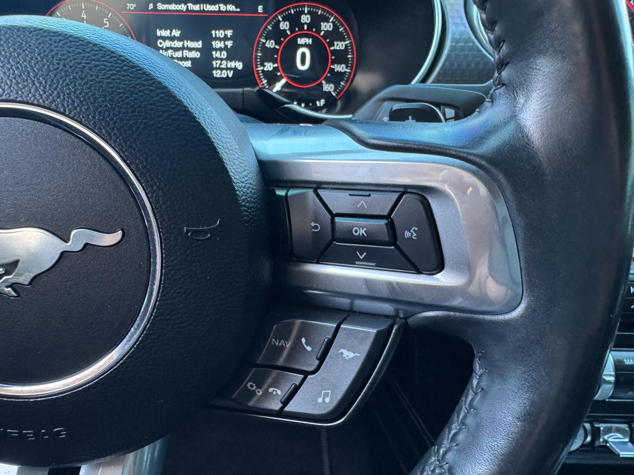 Ford Mustang GT Fastback 2019
