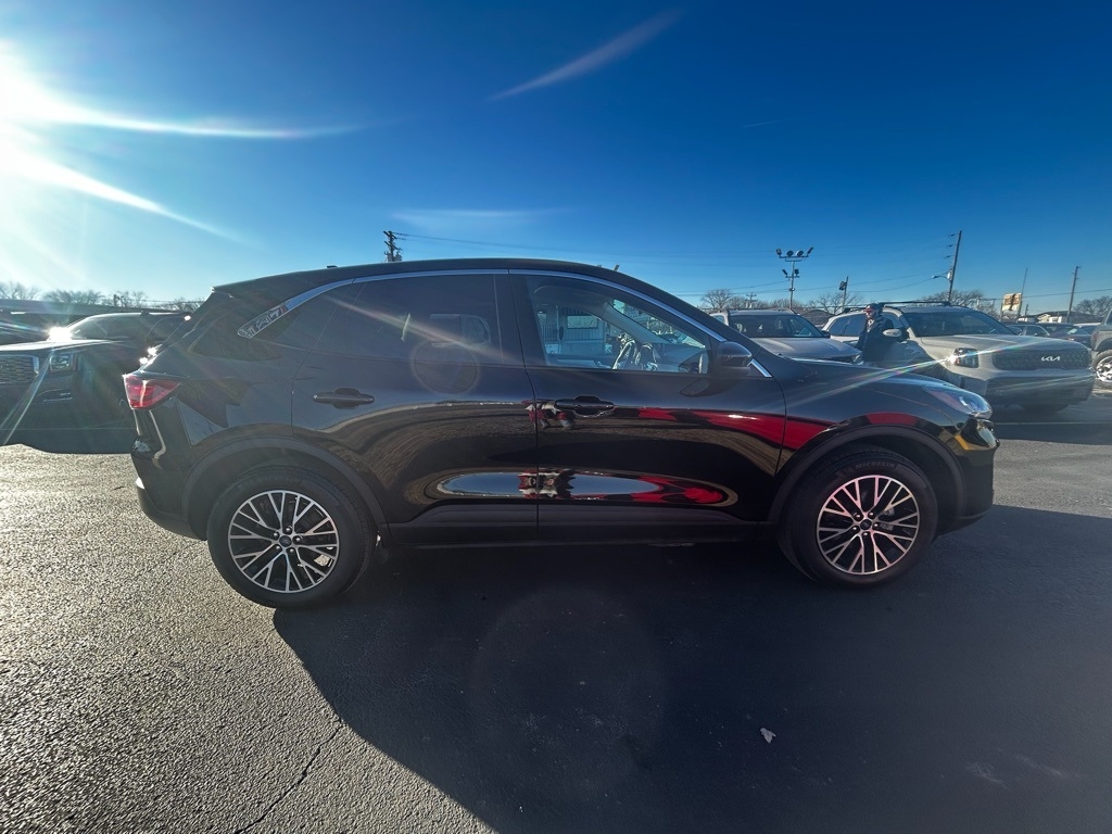 Ford Escape Plug-in Hybrid SEL 2022