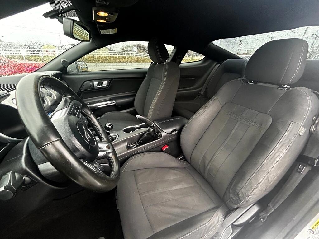 Ford Mustang GT Coupe 2019