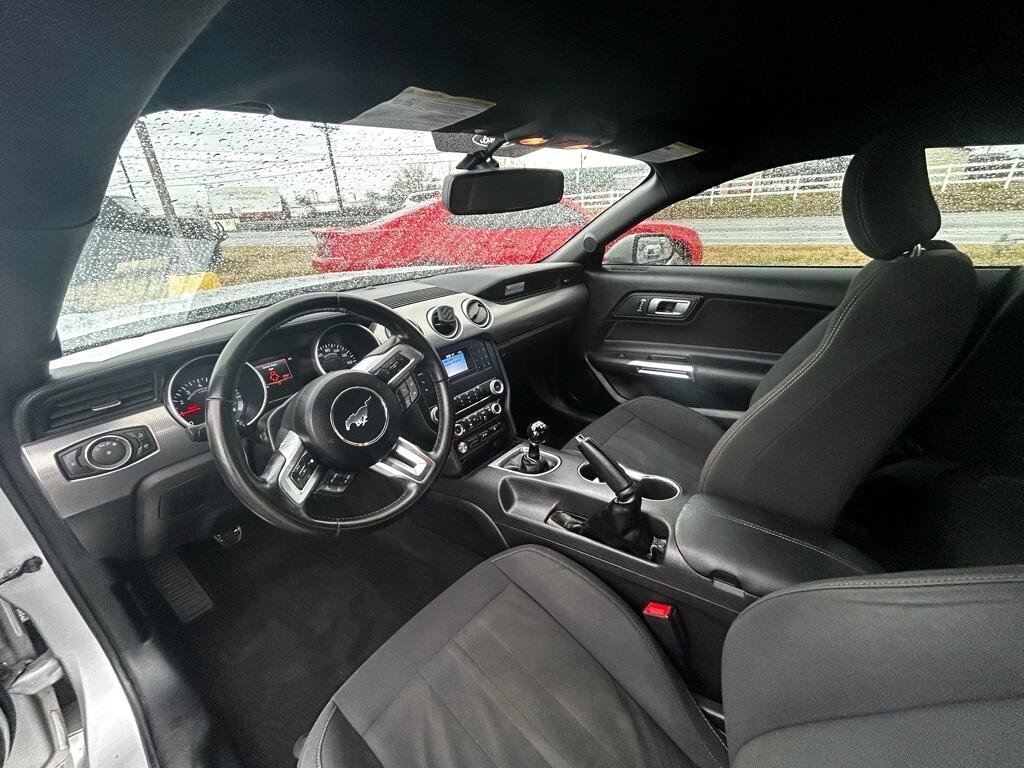 Ford Mustang GT Coupe 2019