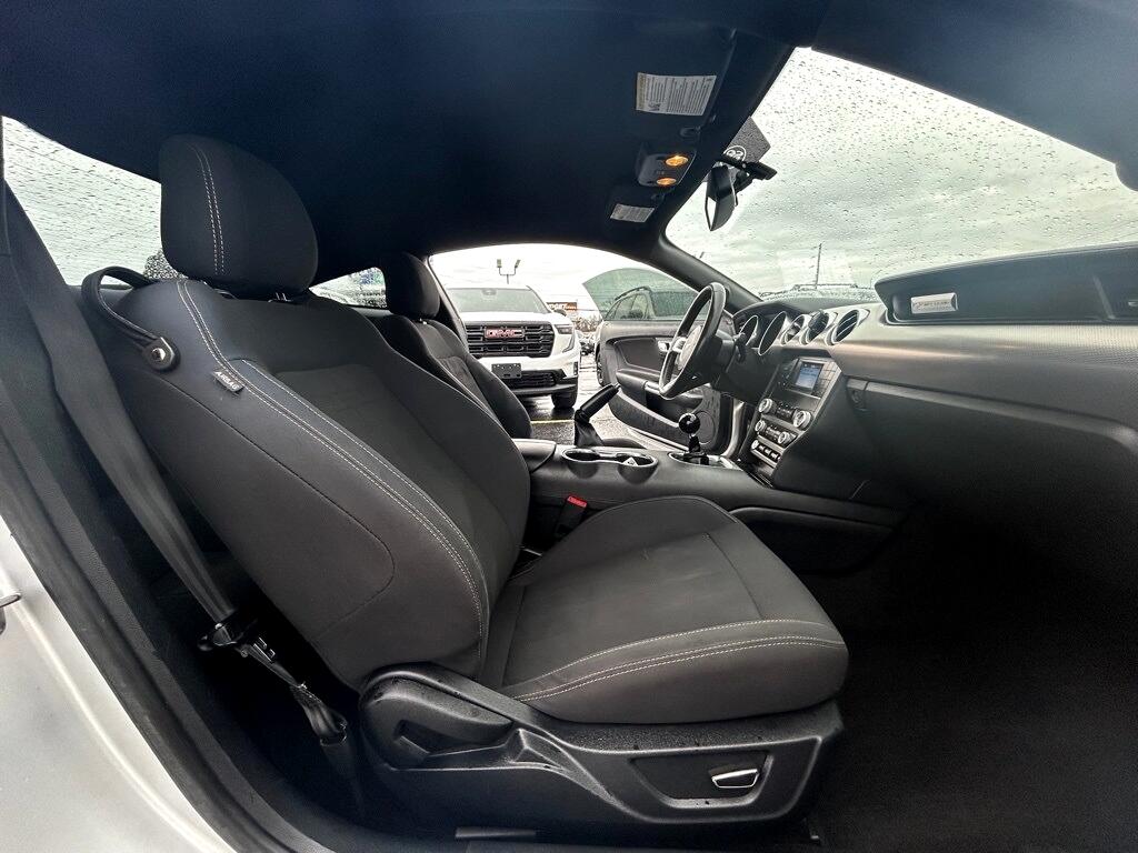 Ford Mustang GT Coupe 2019