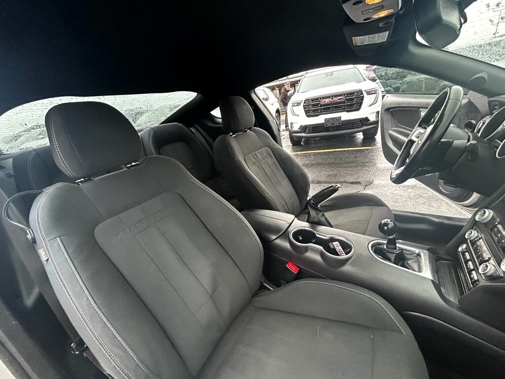 Ford Mustang GT Coupe 2019