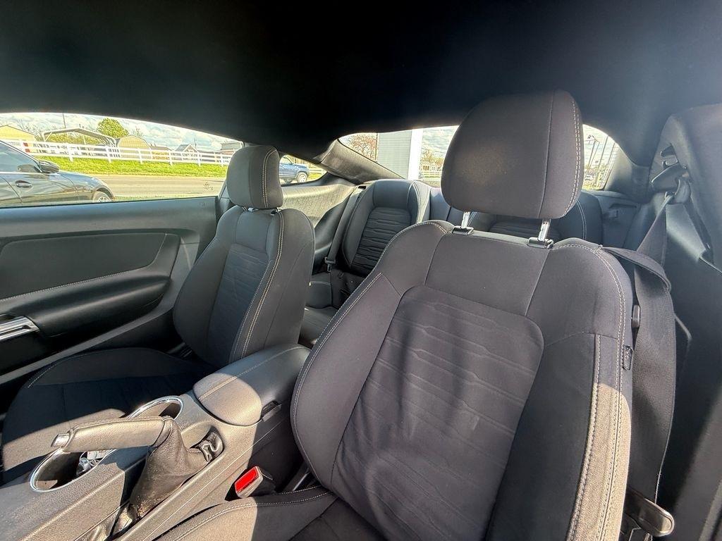 Ford Mustang GT Coupe 2017