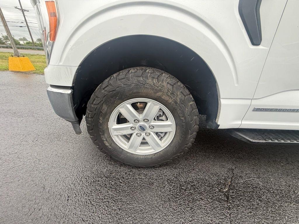 Ford F-150 XL SuperCrew 4WD 2022