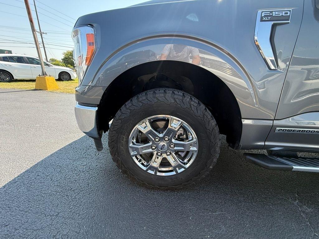 Ford F-150 XLT SuperCrew 5.5-ft. Bed 4WD 2023