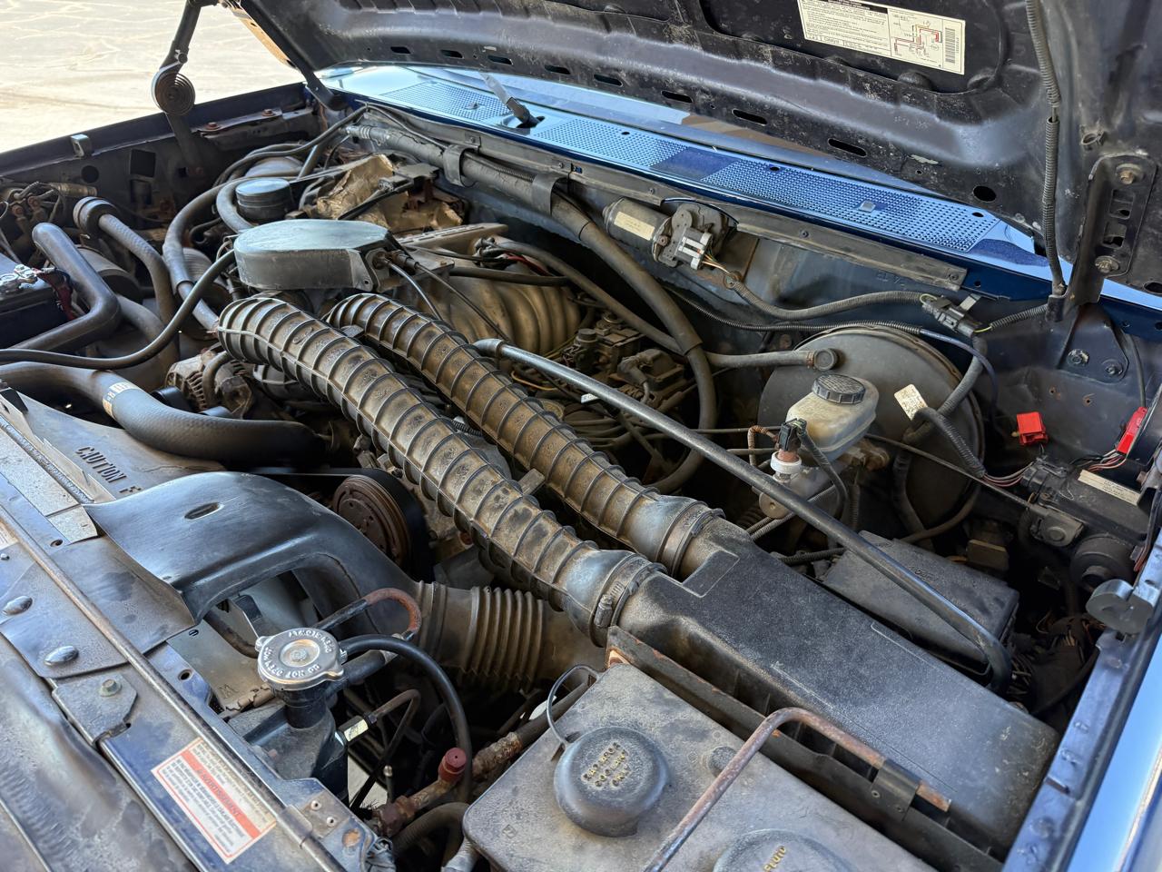 Ford Bronco 2dr Eddie Bauer 1995