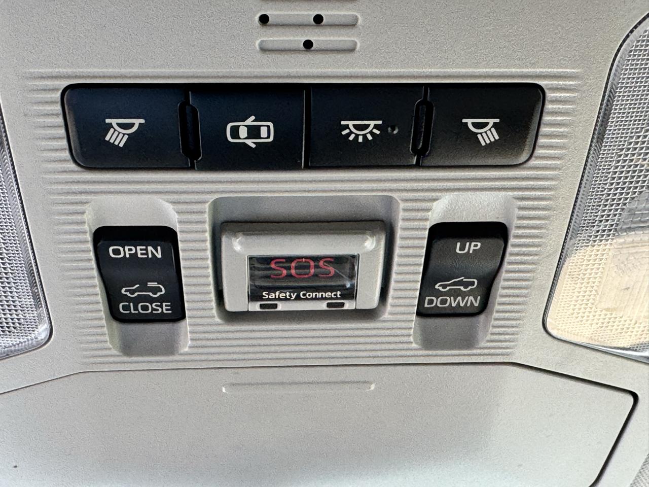 Toyota RAV4 XLE FWD (Natl) 2019