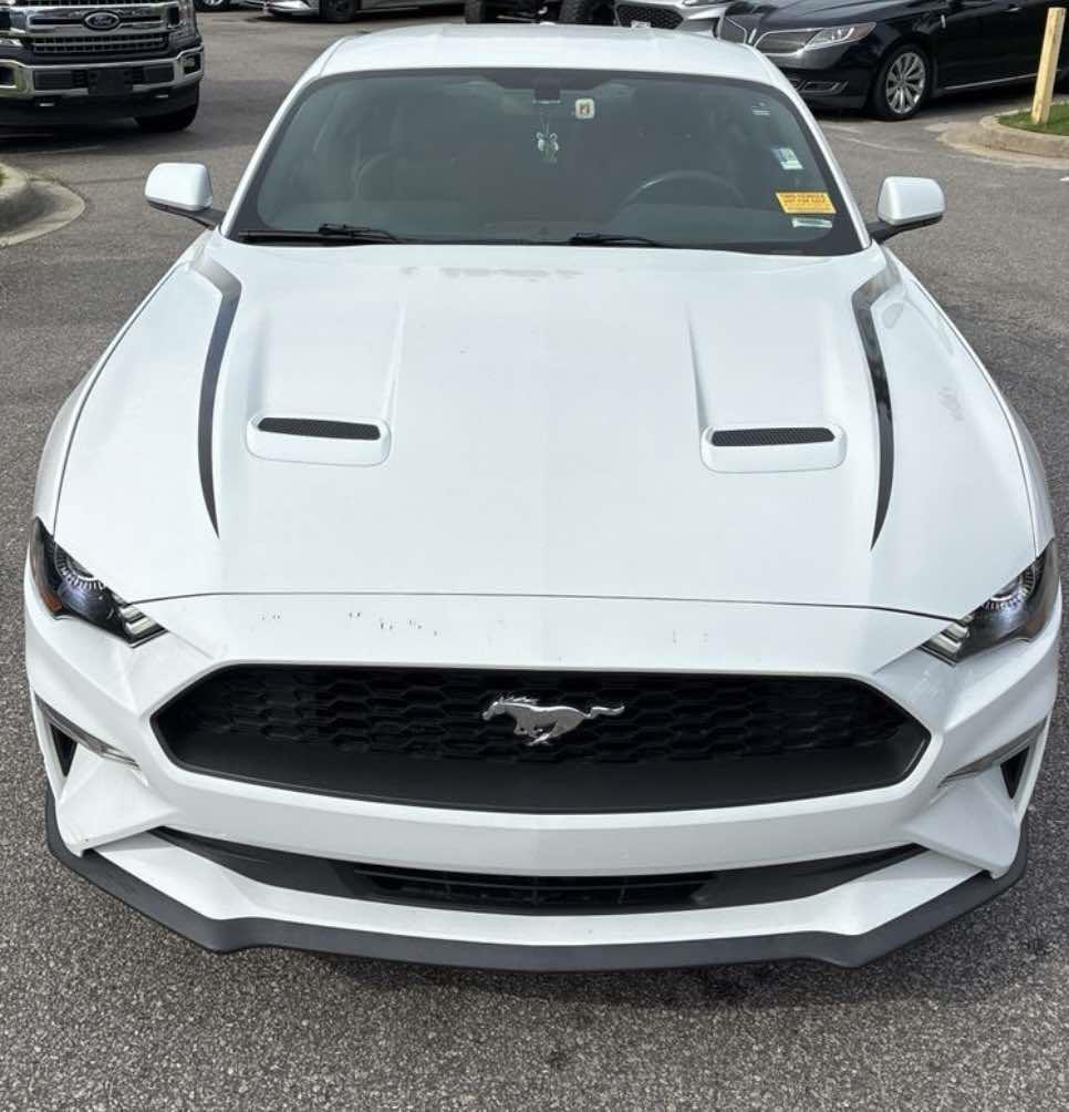 Ford Mustang EcoBoost Fastback 2019