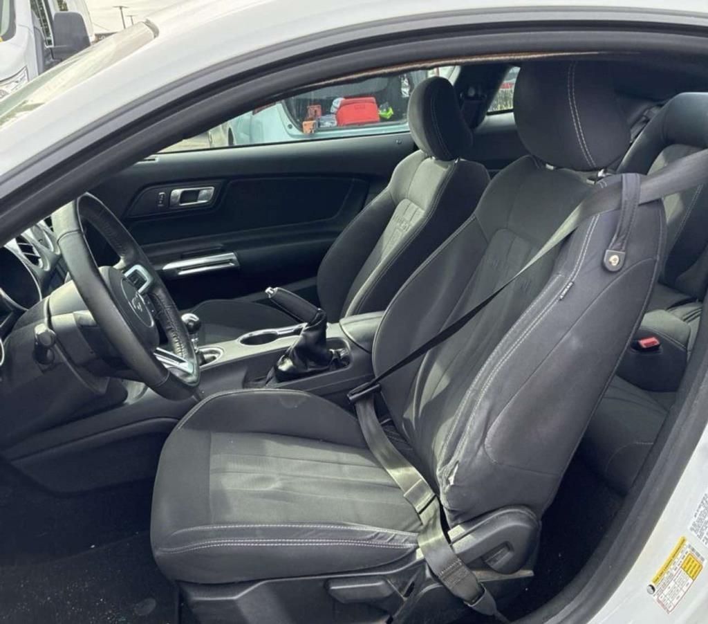 Ford Mustang EcoBoost Fastback 2019