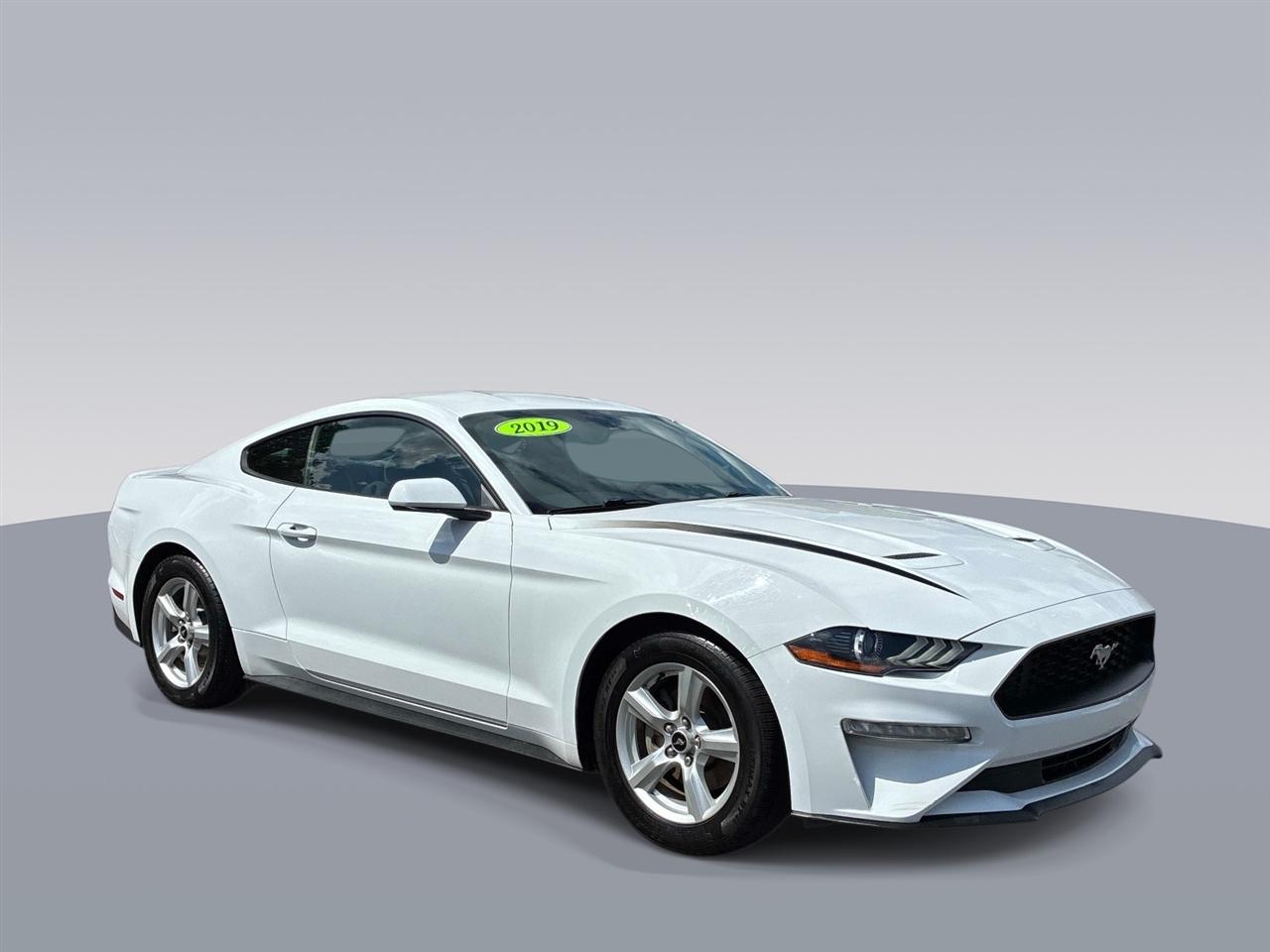 Ford Mustang EcoBoost Fastback 2019