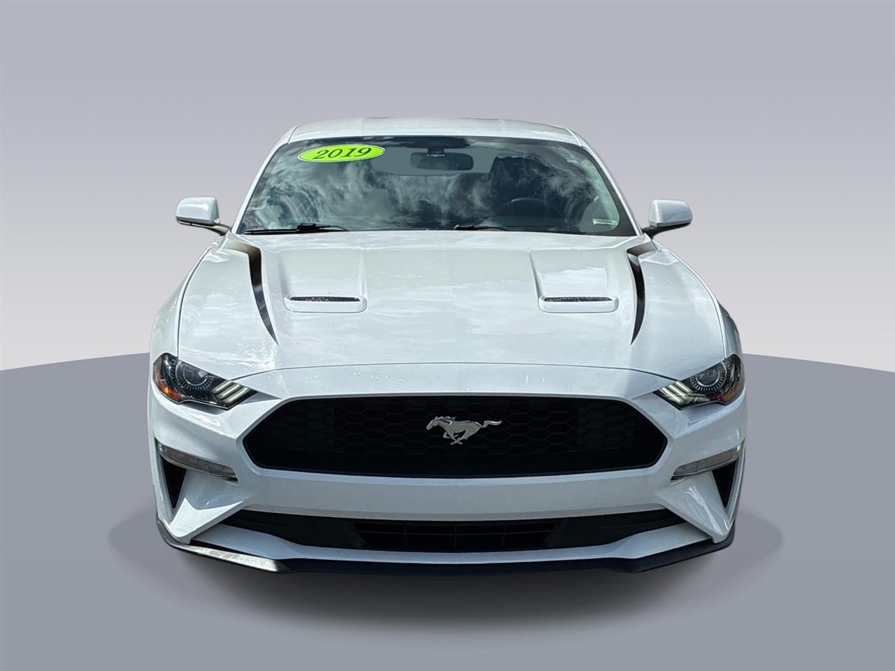 Ford Mustang EcoBoost Fastback 2019
