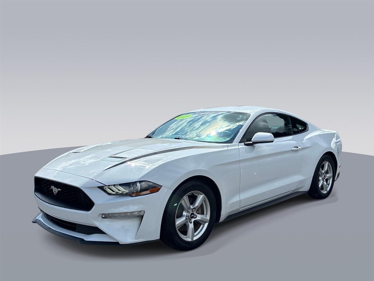 Ford Mustang EcoBoost Fastback 2019