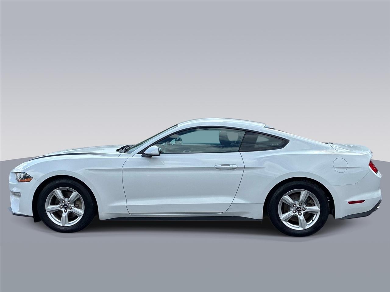 Ford Mustang EcoBoost Fastback 2019