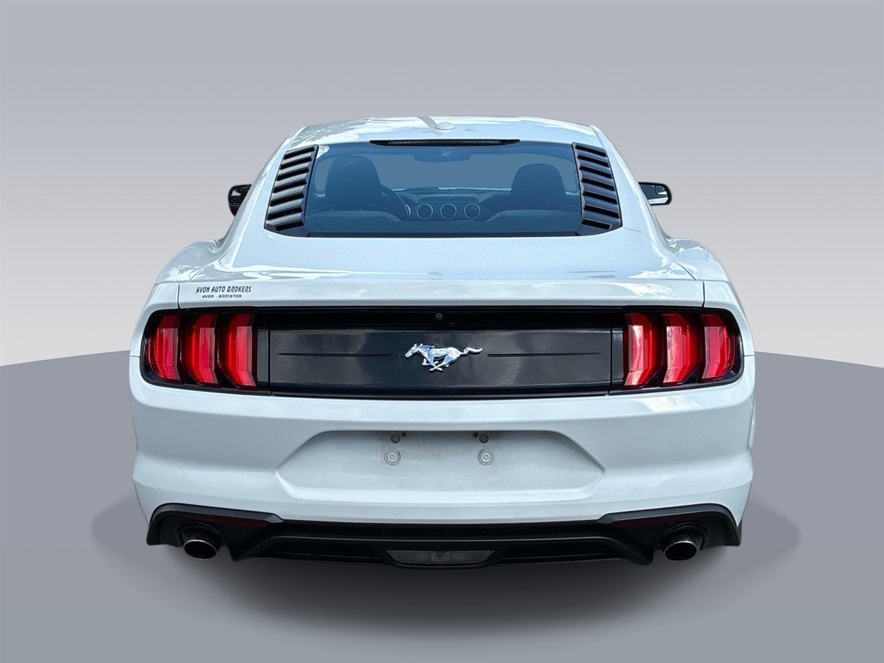 Ford Mustang EcoBoost Fastback 2019
