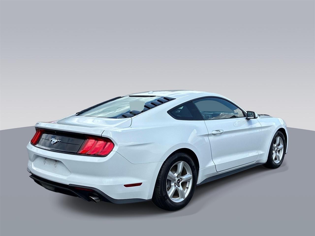 Ford Mustang EcoBoost Fastback 2019