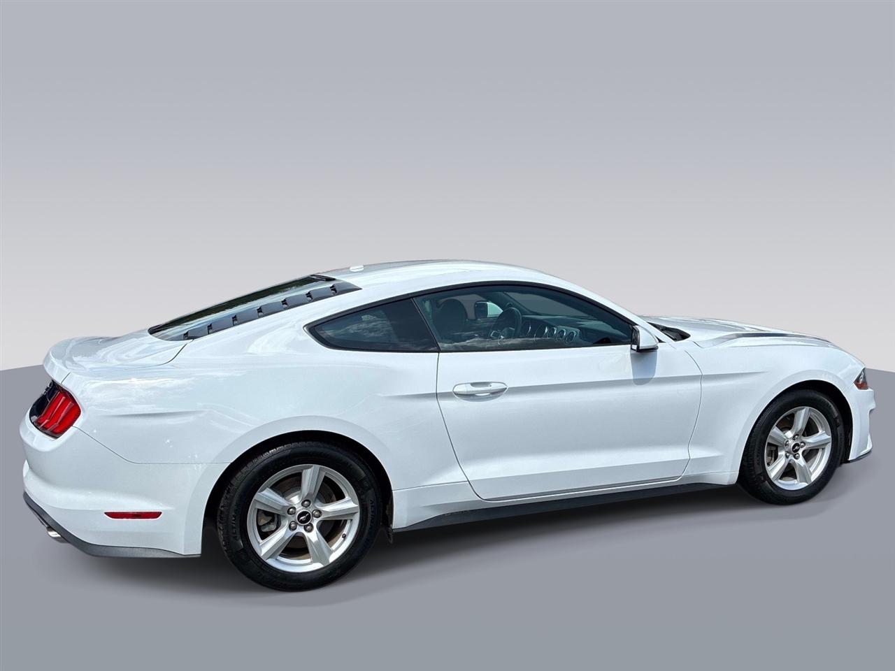 Ford Mustang EcoBoost Fastback 2019