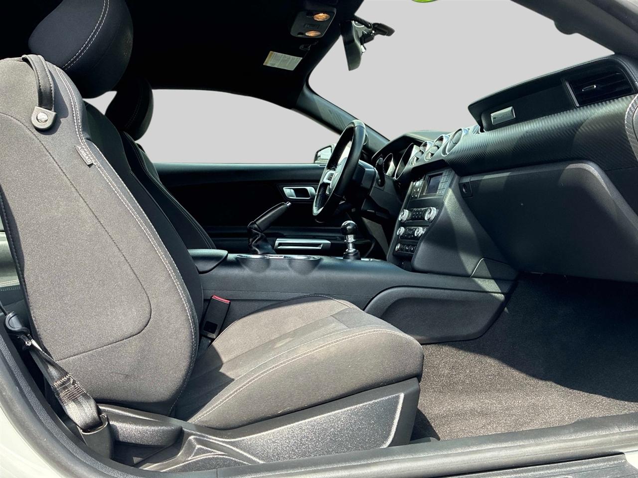 Ford Mustang EcoBoost Fastback 2019