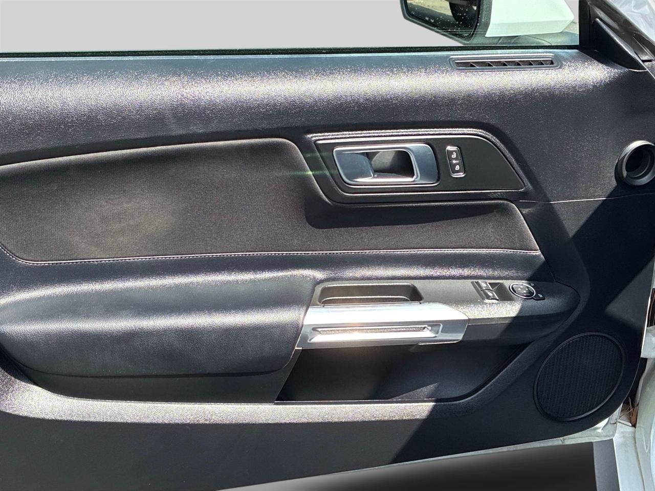 Ford Mustang EcoBoost Fastback 2019