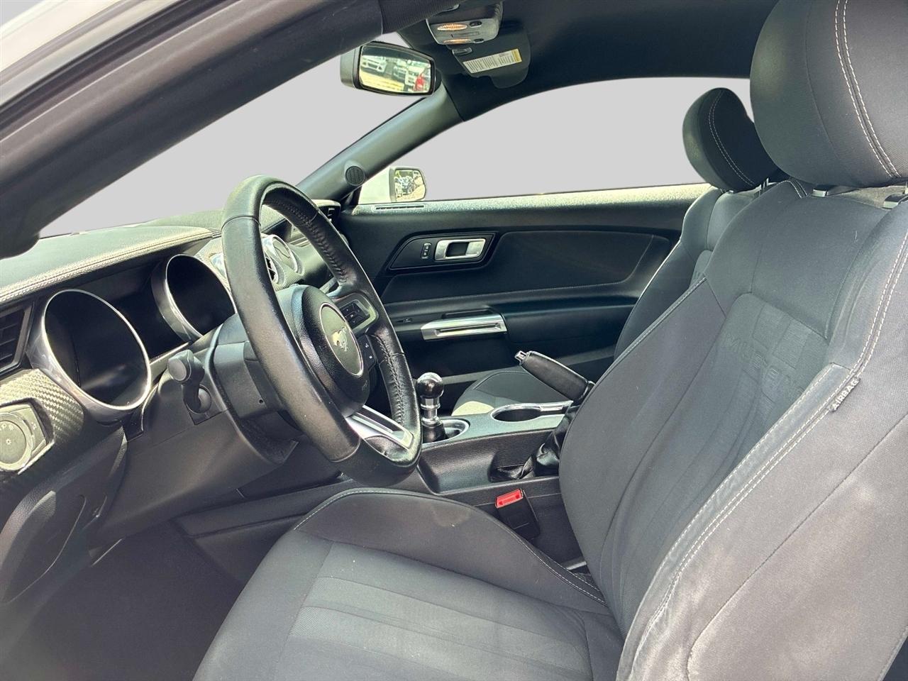 Ford Mustang EcoBoost Fastback 2019