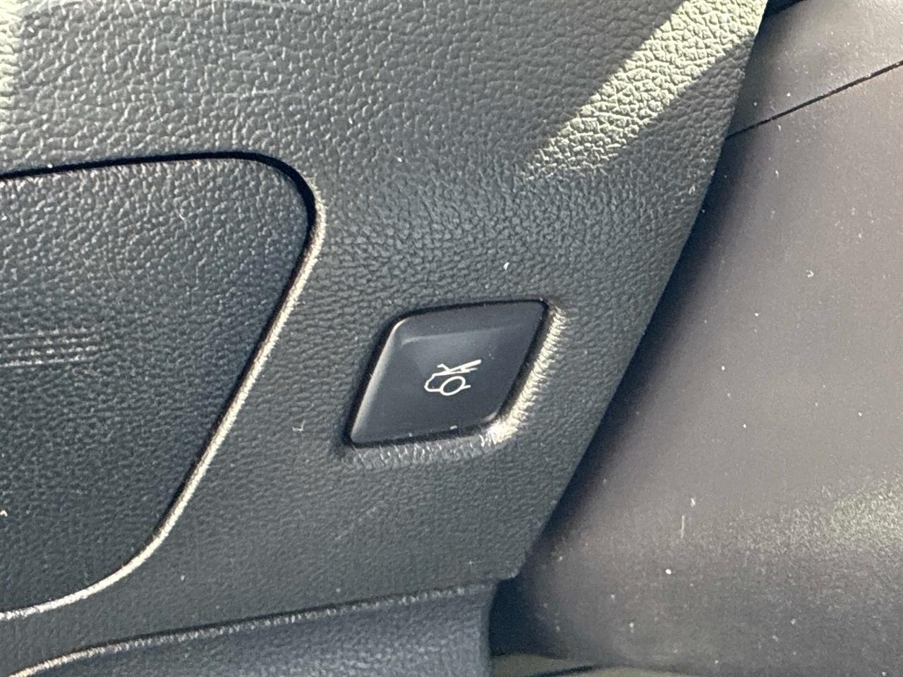 Ford Mustang EcoBoost Fastback 2019