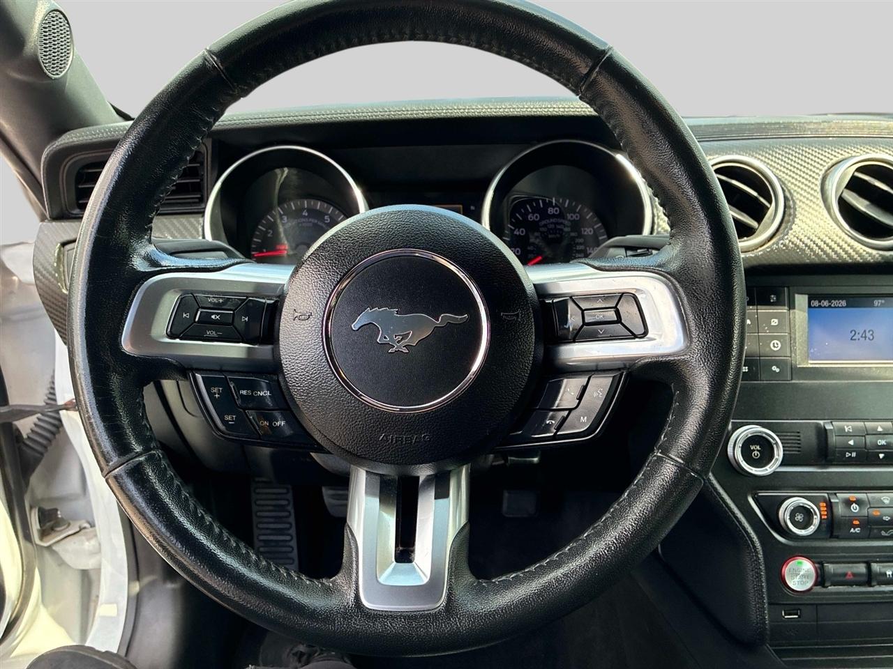 Ford Mustang EcoBoost Fastback 2019