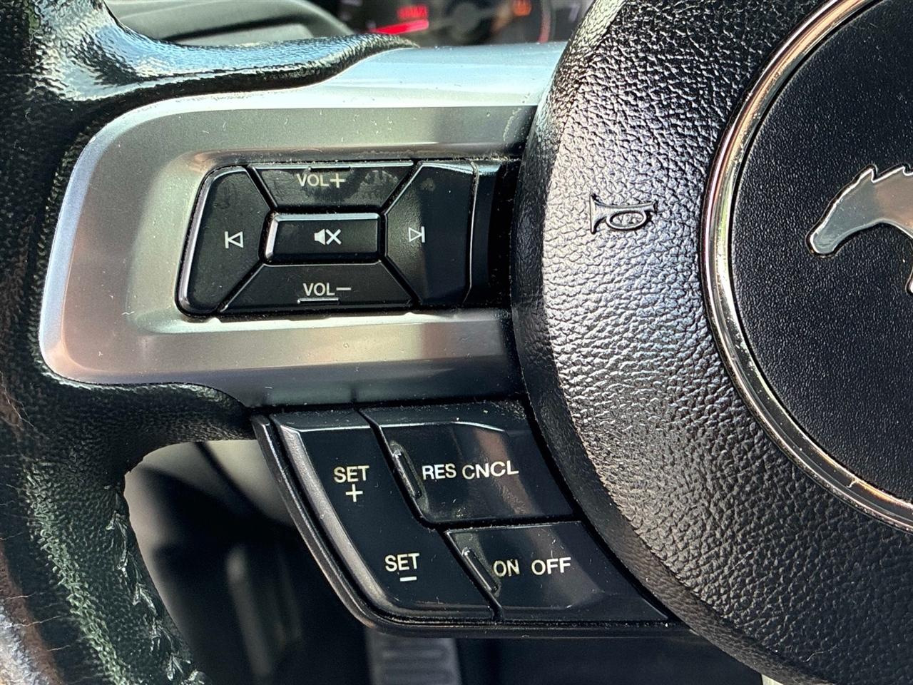Ford Mustang EcoBoost Fastback 2019
