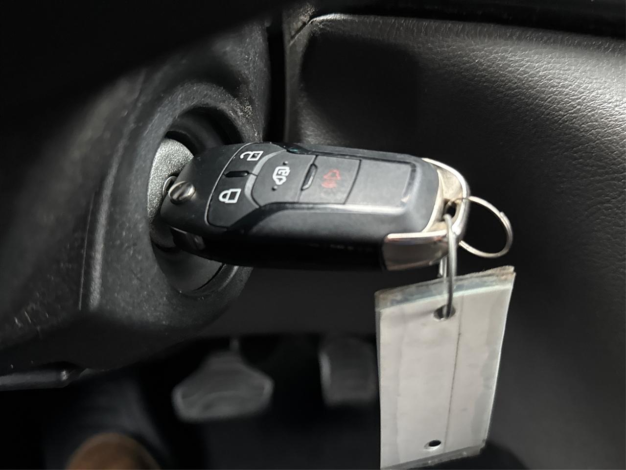 Ford Transit Cargo Van T-250 148" EL Hi Rf 9070 GVWR RWD 2021