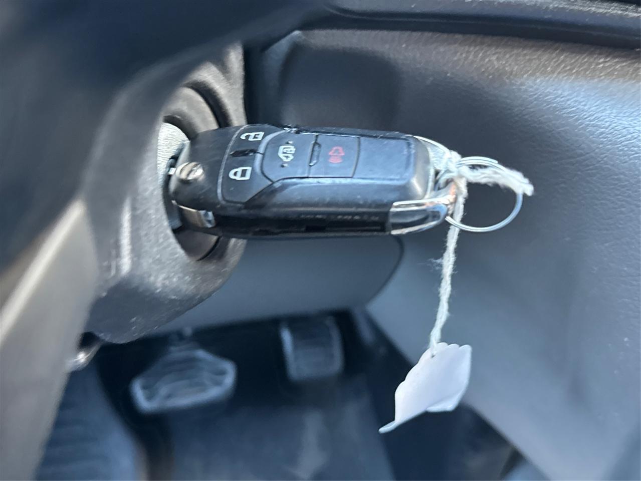 Ford Transit Cargo Van T-250 130" Med Rf 9070 GVWR RWD 2023