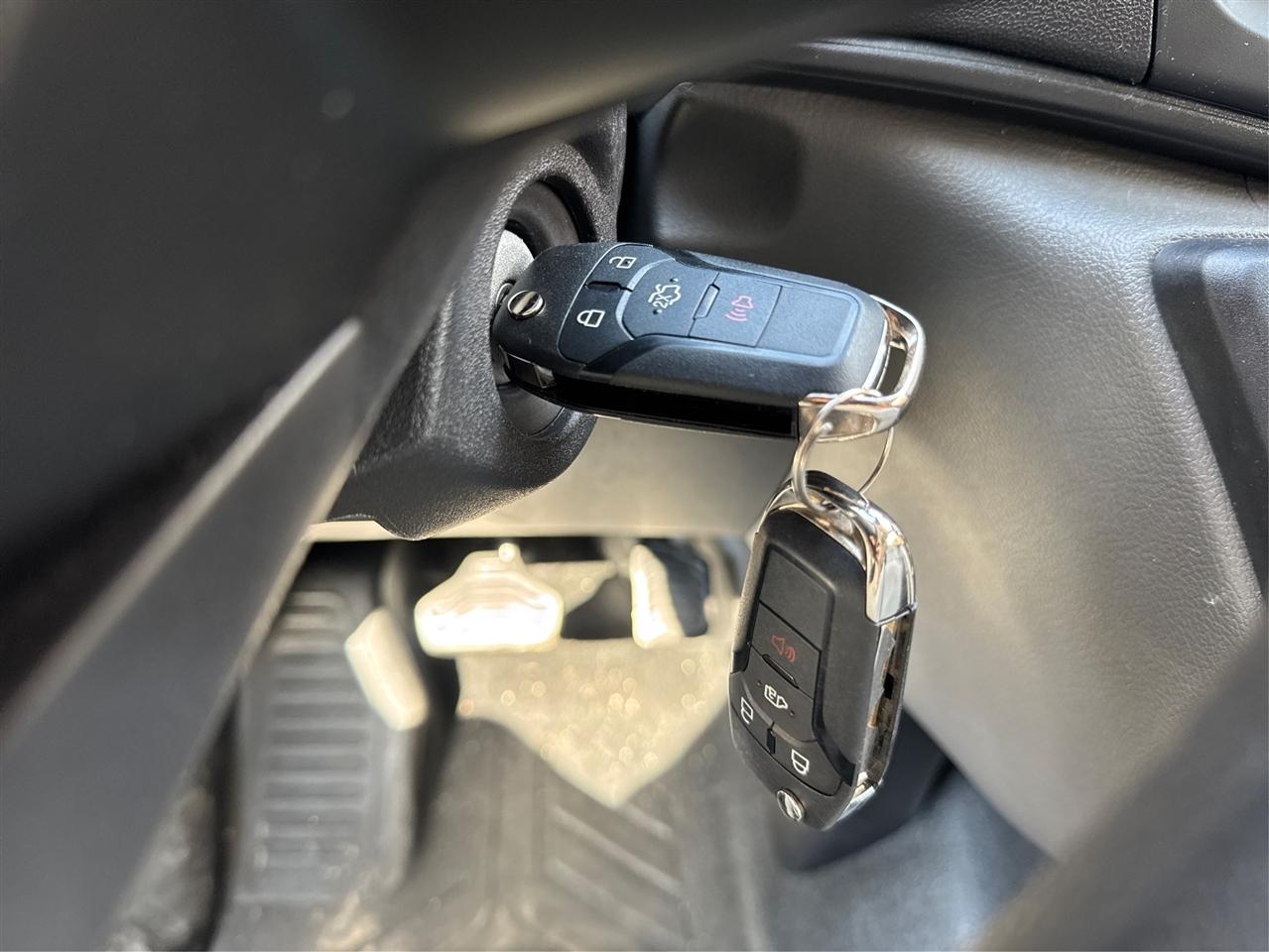 Ford Transit Cargo Van T-250 148" Med Rf 9070 GVWR RWD 2025